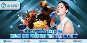 Đá Gà Thomo SHBET Và Những Siêu Phẩm Hay Nhất Bạn Nên Thử