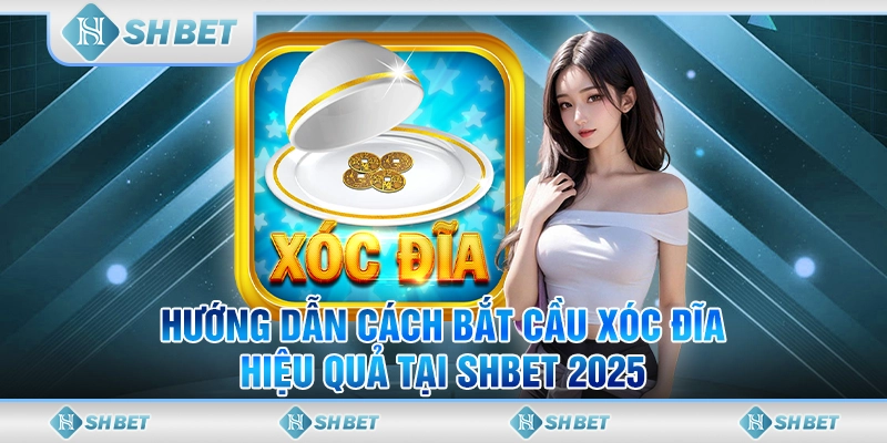 Hướng Dẫn Cách Bắt Cầu Xóc Đĩa Hiệu Quả Tại SHBET 2025