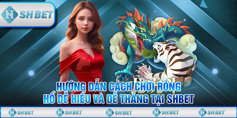 Hướng Dẫn Cách Chơi Rồng Hổ Dễ Hiểu Và Dễ Thắng Tại SHBET