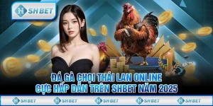 Đá Gà Chọi Thái Lan Online Cực Hấp Dẫn Trên SHBET Năm 2025