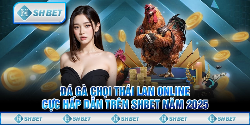 Đá Gà Chọi Thái Lan Online Cực Hấp Dẫn Trên SHBET Năm 2025