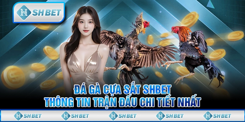 Đá Gà Cựa Sắt SHBET - Thông Tin Trận Đấu Chi Tiết Nhất