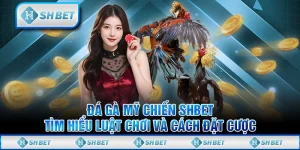 Đá Gà Mỹ Chiến SHBET - Tìm Hiểu Luật Chơi Và Cách Đặt Cược