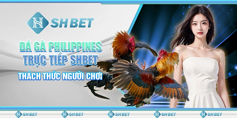 Đá Gà Philippines Trực Tiếp SHBET - Thách Thức Người Chơi