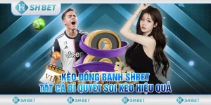 Kèo Đồng Banh SHBET – Tất Cả Bí Quyết Soi Kèo Hiệu Quả