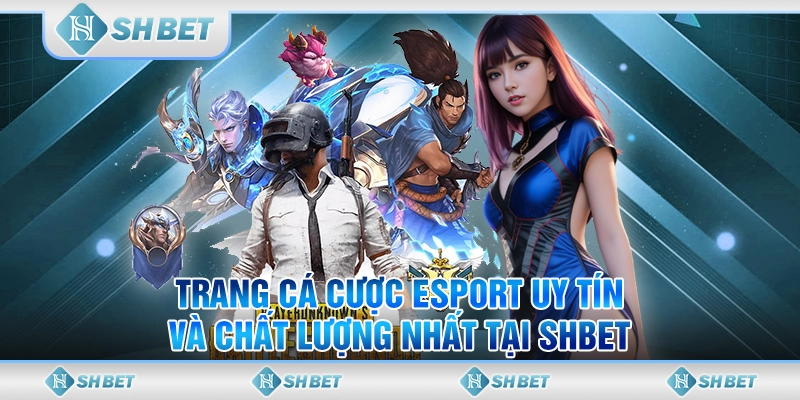 Trang Cá Cược Esport Uy Tín Và Chất Lượng Nhất Tại SHBET