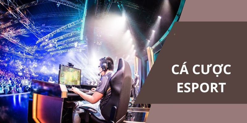 Các cách cá cược esport hiệu quả