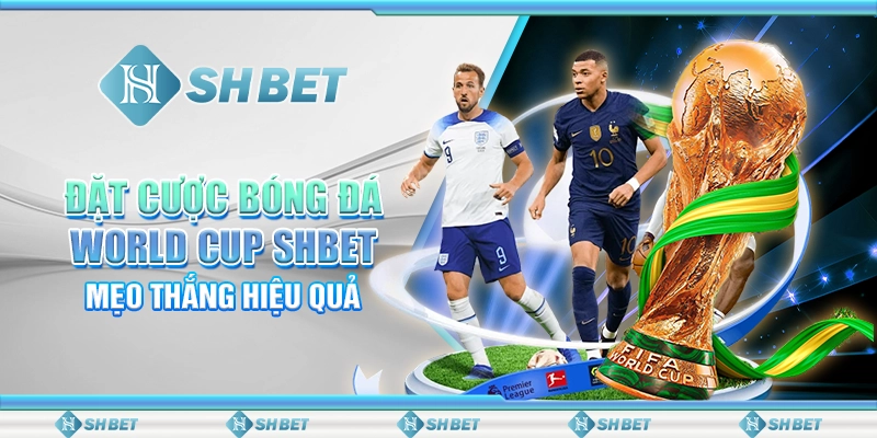 Đặt Cược Bóng Đá World Cup SHBET - Mẹo Thắng Hiệu Quả