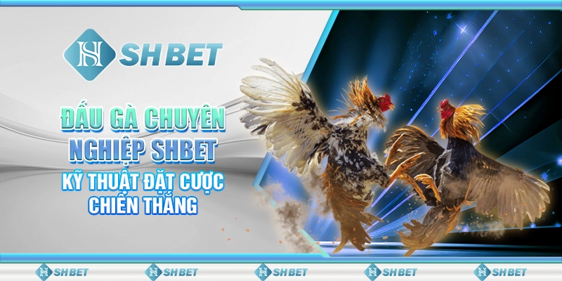 Đấu Gà Chuyên Nghiệp SHBET - Kỹ Thuật Đặt Cược Chiến Thắng