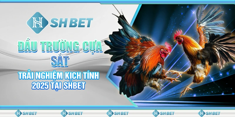 Đấu Trường Cựa Sắt - Trải Nghiệm Kịch Tính 2025 Tại SHBET