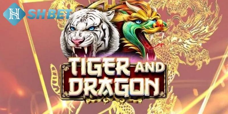 Hé lộ quy luật chơi Dragon Tiger chuẩn cho tân binh